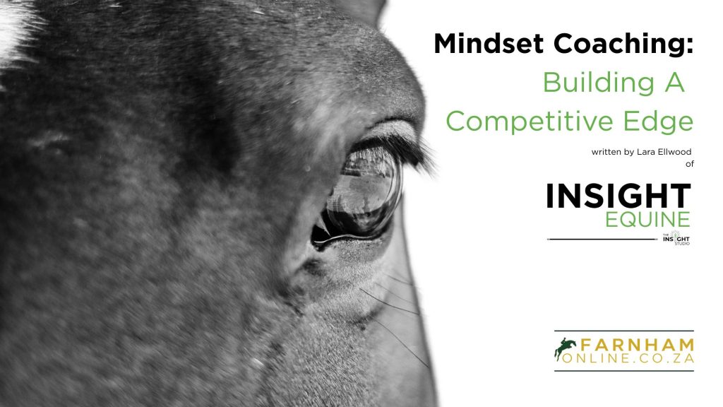Mindset Coaching by Lara Ellwood of Insight Equine.