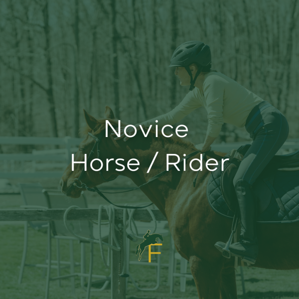 Novice Horse/ Rider